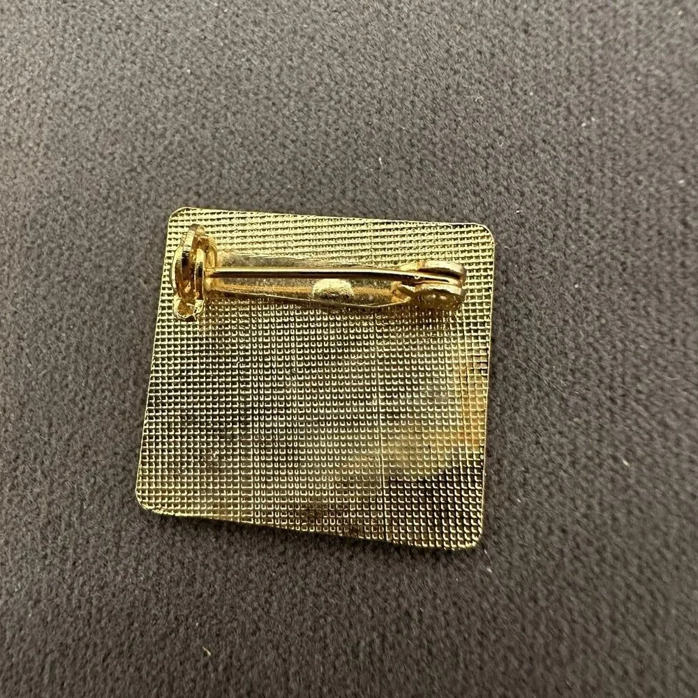 Vintage Ski Utah We've Got The Runs Ski‎ Lapel Pin Brooch Mountain